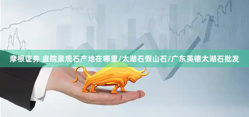 摩根证券 庭院景观石产地在哪里/太湖石假山石/广东英德太湖石批发